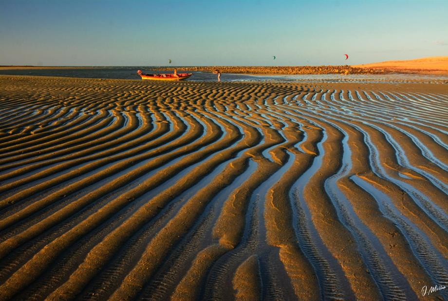 whatsapp image 2021-03-10 at 10.26.28.jpeg