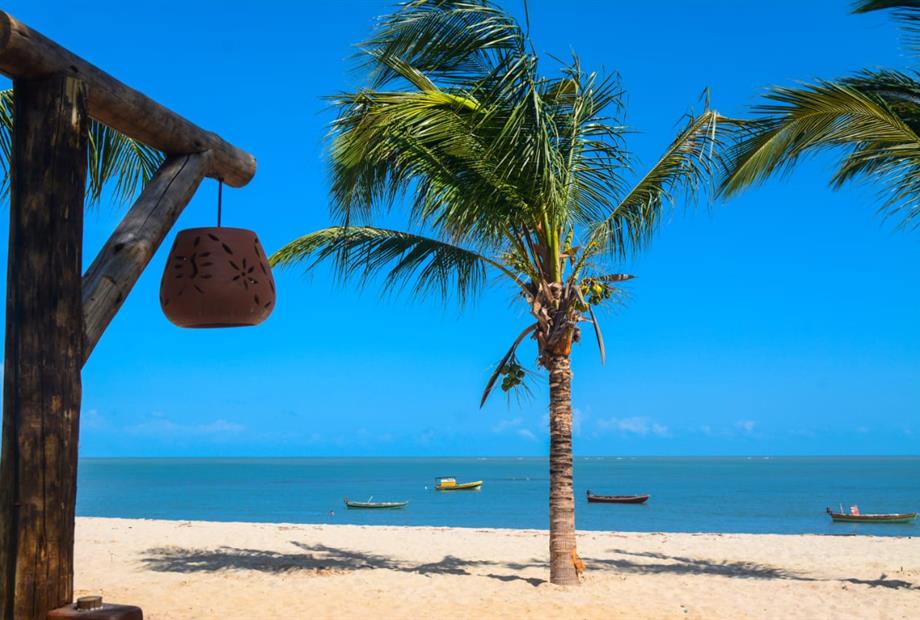 whatsapp image 2021-03-15 at 20.04.35-4.jpeg