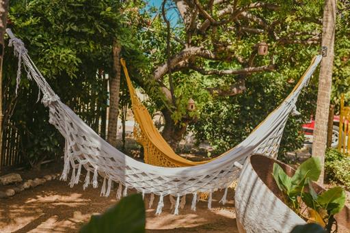 whatsapp image 2022-02-28 at 16.34.25.jpeg