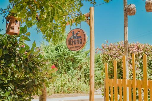 whatsapp image 2022-02-28 at 16.34.25 (11).jpeg