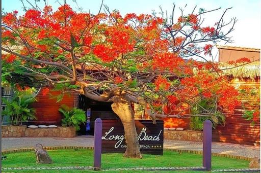 whatsapp image 2023-10-21 at 10.34.04 am.jpeg