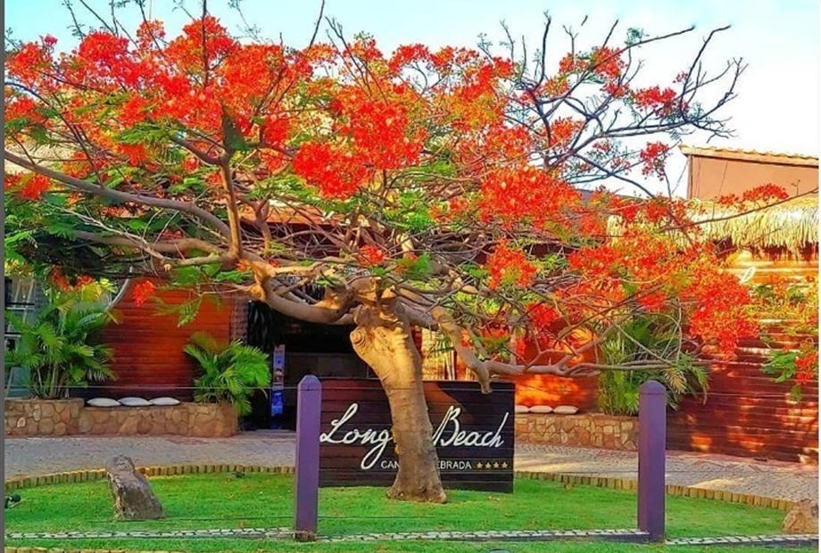 whatsapp image 2023-10-21 at 10.34.04 am.jpeg