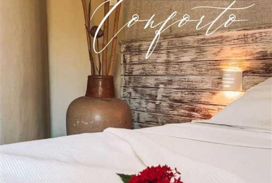 whatsapp image 2023-10-21 at 10.34.17 am (1).jpeg