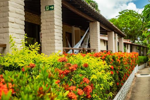 jardim externo (10).jpg