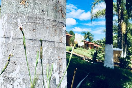 WhatsApp Image 2019-01-20 at 15.48.43.jpeg