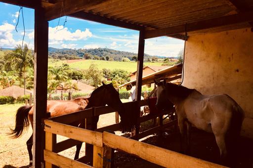 WhatsApp Image 2019-01-20 at 16.13.52.jpeg