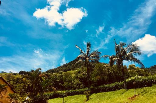 WhatsApp Image 2019-01-20 at 16.13.53.jpeg