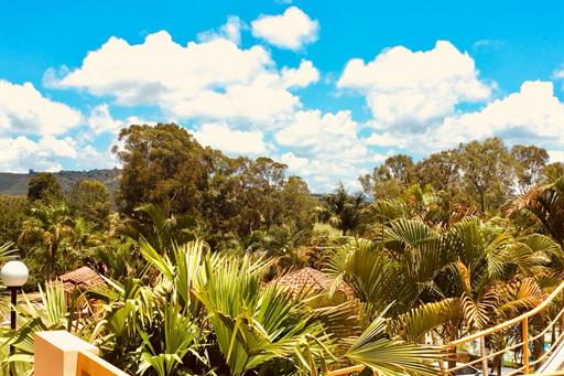 WhatsApp Image 2019-01-20 at 16.13.54 (1).jpeg