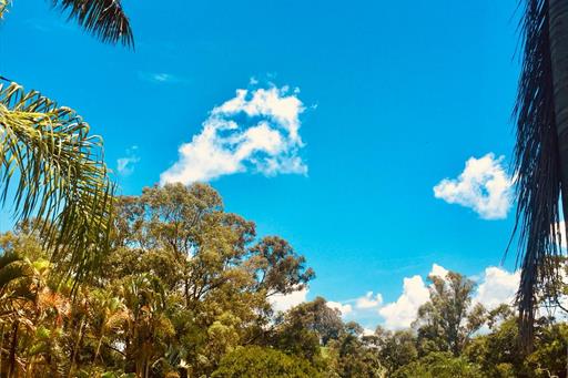 WhatsApp Image 2019-01-20 at 16.13.59.jpeg