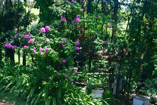 WhatsApp Image 2019-01-20 at 16.14.05.jpeg