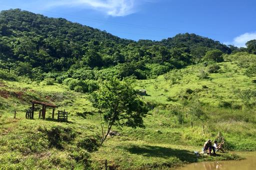 WhatsApp Image 2019-01-20 at 16.16.14 (1).jpeg