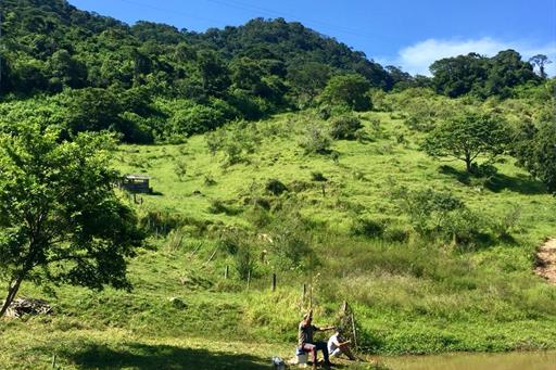 WhatsApp Image 2019-01-20 at 16.16.15.jpeg