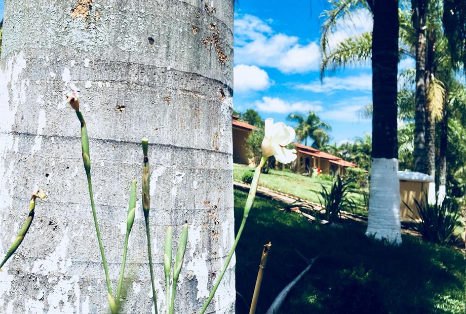 WhatsApp Image 2019-01-20 at 15.48.43.jpeg