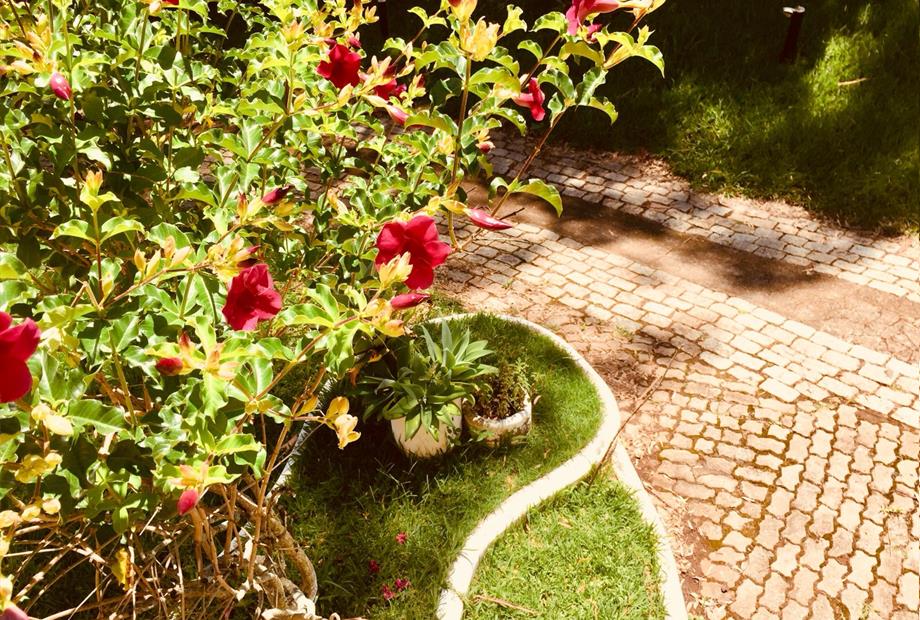 WhatsApp Image 2019-01-20 at 15.48.48 (1).jpeg