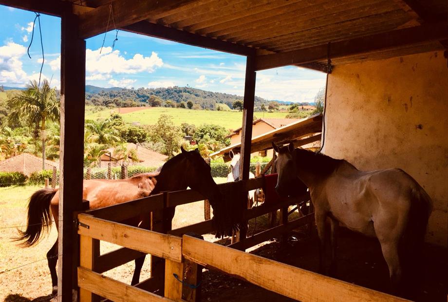 WhatsApp Image 2019-01-20 at 16.13.52.jpeg