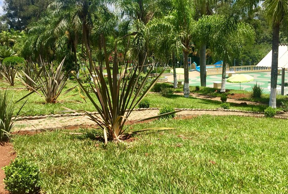 WhatsApp Image 2019-01-20 at 16.13.55 (1).jpeg