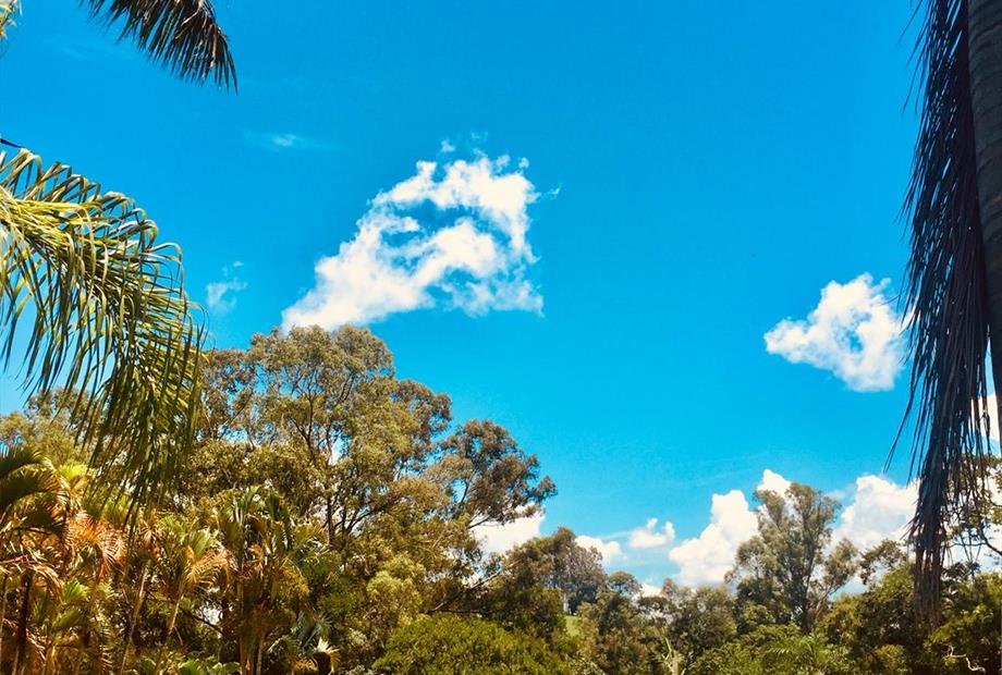 WhatsApp Image 2019-01-20 at 16.13.59.jpeg