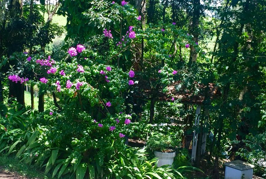 WhatsApp Image 2019-01-20 at 16.14.05.jpeg