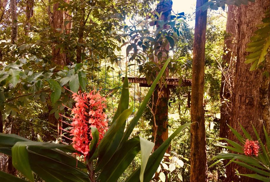 WhatsApp Image 2019-01-20 at 16.16.06 (1).jpeg