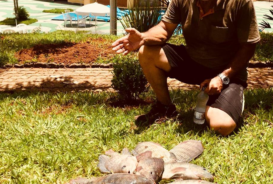 WhatsApp Image 2019-01-20 at 16.16.11 (1).jpeg