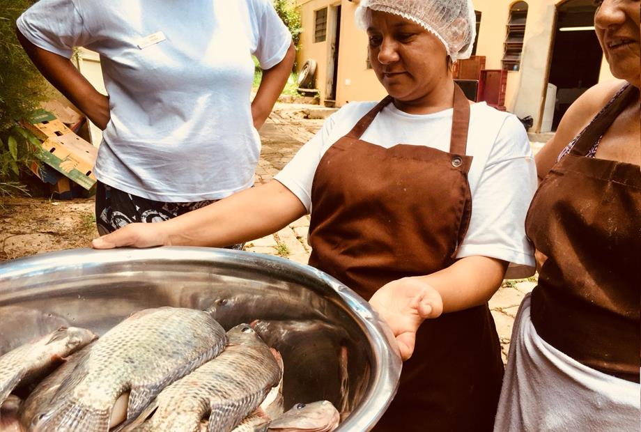 WhatsApp Image 2019-01-20 at 16.16.11.jpeg