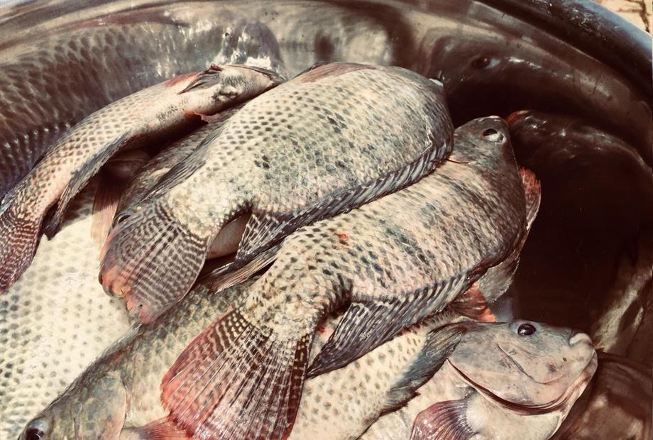 WhatsApp Image 2019-01-20 at 16.16.12 (1).jpeg