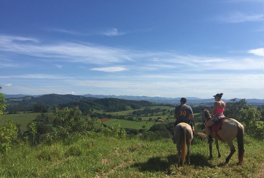 WhatsApp Image 2019-01-20 at 16.16.13.jpeg