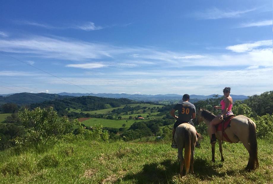 WhatsApp Image 2019-01-20 at 16.16.14 (2).jpeg