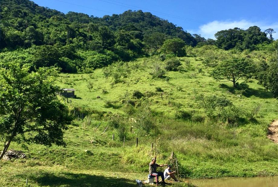 WhatsApp Image 2019-01-20 at 16.16.15.jpeg