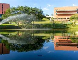 Almenat Embu das Artes Sao Paulo, Tapestry Collection by Hilton