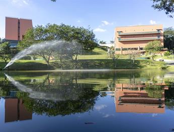 Almenat Embu das Artes Sao Paulo, Tapestry Collection by Hilton