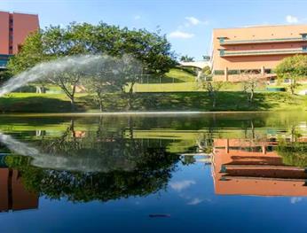 Almenat Embu das Artes Sao Paulo, Tapestry Collection by Hilton