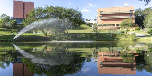 Almenat Embu das Artes Sao Paulo, Tapestry Collection by Hilton