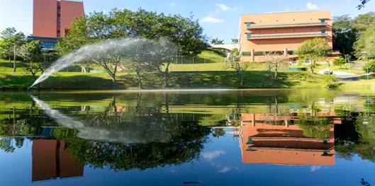 Almenat Embu das Artes Sao Paulo, Tapestry Collection by Hilton