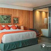 Suíte Presidencial 1