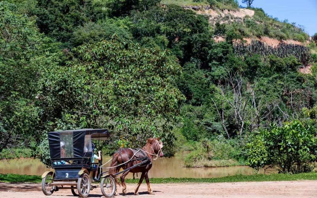 passeio de charrete - terra dos sonhos.jpg