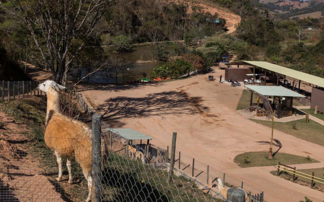 mini fazenda - terra dos sonhos.jpg