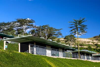 terra dos sonhos.jpg