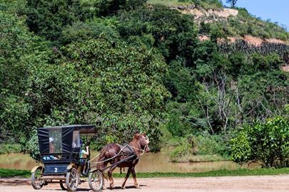 passeio de charrete - terra dos sonhos.jpg