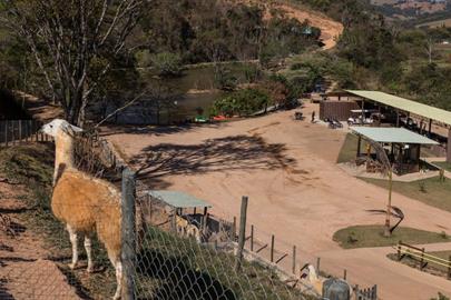 mini fazenda - terra dos sonhos.jpg