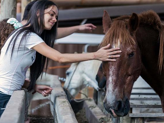 passeio de cavalo- terra dos sonhos.jpg