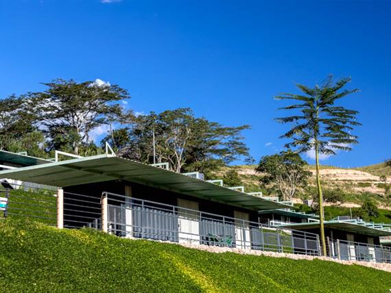 terra dos sonhos.jpg