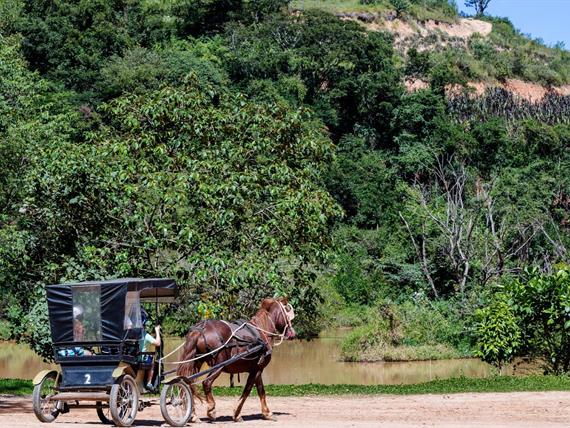 passeio de charrete - terra dos sonhos.jpg