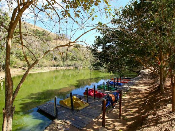 pedalinho - terra dos sonhos.jpg