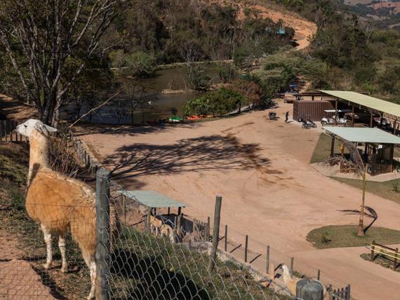 mini fazenda - terra dos sonhos.jpg