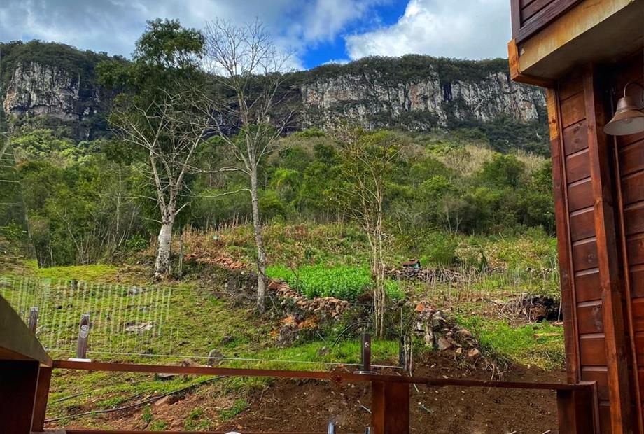 whatsapp image 2021-08-14 at 13.55.44.jpeg