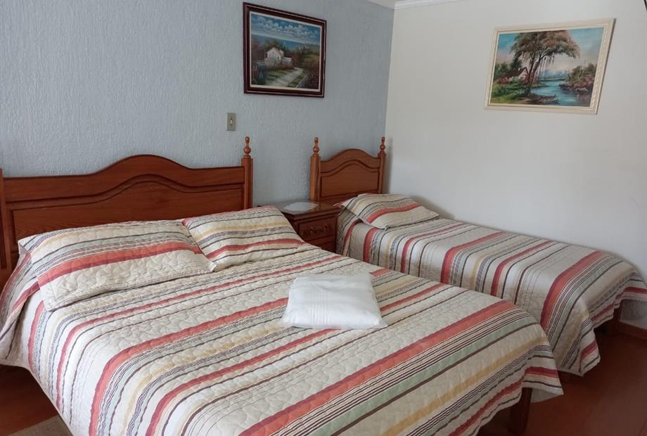 standard triplo (2) - copia.jpeg