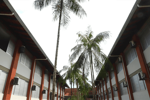 untitled design (70).png