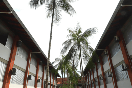 untitled design (70).png