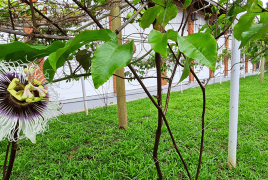 untitled design (60).png